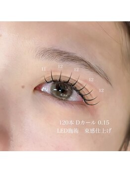 トータルビューティー(TOTAL BEAUTY)/フラットラッシュ 120本