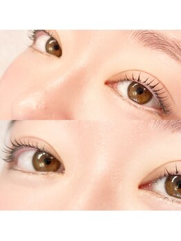 ロール(Roll)/まつ毛パーマ