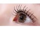 ビューティ サロン ライカ(Beauty Salon Raika)の写真/驚きの持続力！完全硬化3秒の【LED次世代マツエク導入】マツエクを諦めていた方にもオススメ♪