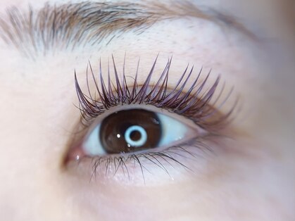 センシズアネックス(SENSES annex)の写真