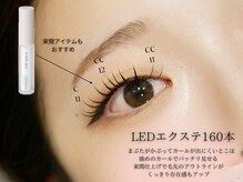 ザ サロン ステラ 五反田(THE SALON stella)/LEDエクステ