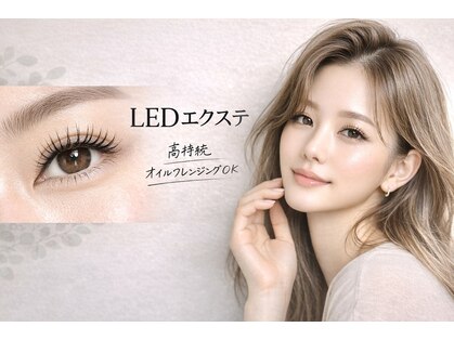 シエル(Ciel)の写真