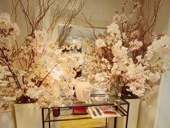 ラグラン銀座メディカルエステ 高輪ゲートウェイ店/エントランスにお越しください♪