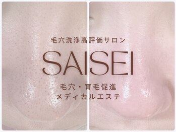 サイセイ(SAISEI)