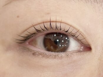 エルブリンク(elblink)/立ち上げすぎずナチュラルに