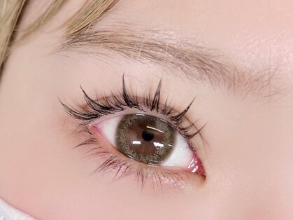 セラス(CELAS)の写真