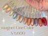 *初回オフ無料*マグネット・ミラー・フラッシュ　60min¥6600