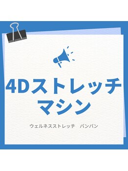 ウェルネスストレッチ バンバン/4Dストレッチマシン