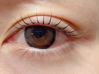 ザラボアングゥ(The Labo ungu)/【まつげパーマ】