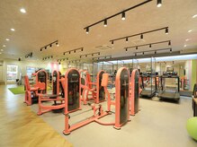 セルフボディメイクスタジオ ポート(PORT)/館内風景