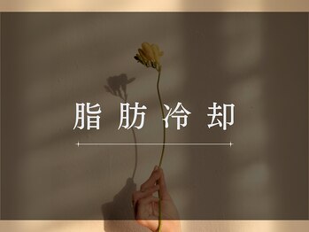 アバンダンティア 姫路店/