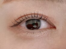 春日井まつげ/似合わせラッシュリフト