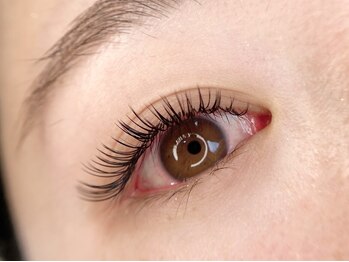 BELINDA秦野マツエク/LED/まつげパーマ/アイブロウ/フラットラッシュ/マツエク×パ-マ/ 【ラップアップラッシュ120束】