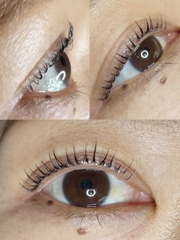 エーラッシュ(A-Lash)/ショートまつげさんのデザイン