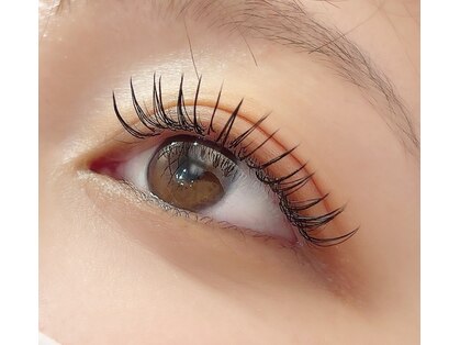 ペルシャ(Persian)の写真