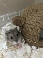 クレア(CREA)&nbsp;家で飼っているハムちゃんです！癒しです♪