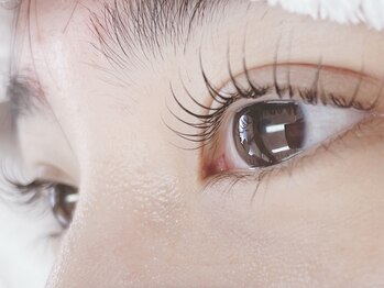 モランプラス 豊田店(Moran Plus)/ラッシュリフト～カールタイプ～