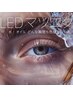 【持続力最大2倍◎染み辛い】《上品華やかeye》LEDフラットラッシュ120本