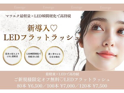 エマージュ 蒲田(Emerge)の写真