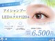 ラウ(Lau)の写真