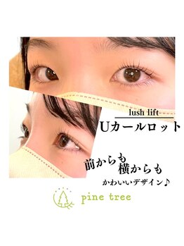 パインツリー(pine tree)/立ち上げたいしカールも欲しい方