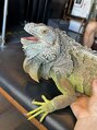 美容整体プラスフィール 大垣店 爬虫類が好きです。休日は爬虫類カフェに行って癒されています!