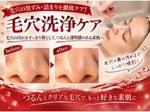 美容の宝石箱