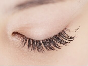 スンダリ(Sundari)/フラットラッシュ180本