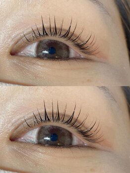 アイラッシュ シェリ(cheri)/ラッシュリフト