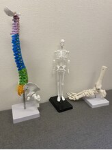 秋葉原ジンセン鍼灸整体院(JINSEN鍼灸整体院)/説明しっかり