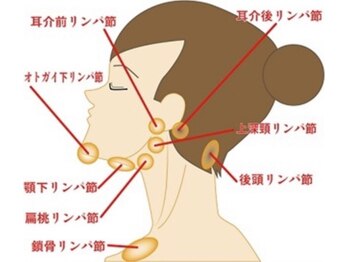 プラスベル(plus Belle)/首凝り・デコルテくっきり
