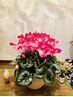 【お誕生日クーポン】500円割引　★全メニュー対象