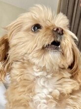 オリーブスパ 京都祇園店(OLIVE SPA) 緒方