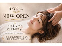 ヘッドミント ビップ 府中店(VIP)