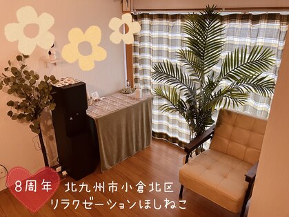 ほしねこの写真