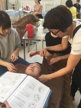 メイプルリーフ/スクール