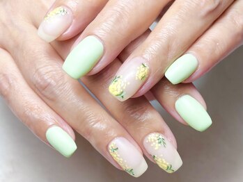 ワイドット(Y.)/定額デザインBコース