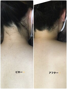 アンジュヴィバラヴィーダ(Ange viva la vida)/