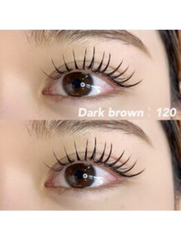 ブランチ(branch)/Dark brown