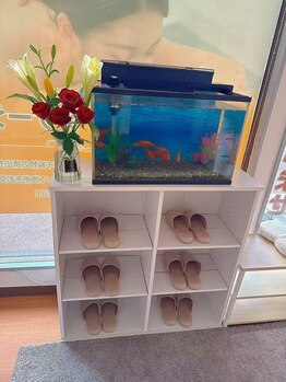 もみ屋/スリッパ