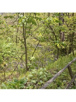 ピュアレスト(PUREST)/自然の景色に癒されます◎