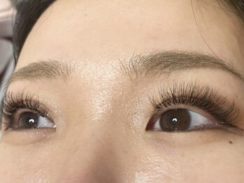 ウルカ アイラッシュ(uruka EYELASH)/ボリュームラッシュ140束