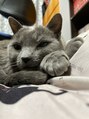 アンドエイト 浦和店(&8) 犬も大好きですが、猫が好きすぎます!猫と大福で癒されてます笑