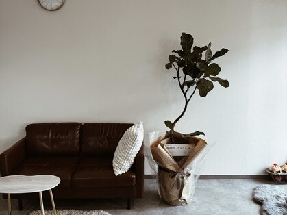 フフ(fufu.)の写真