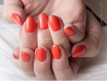 プリメ 高円寺(Purrime)/ワンカラー