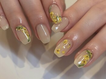 【Hand】トレンド/シーズン 定額