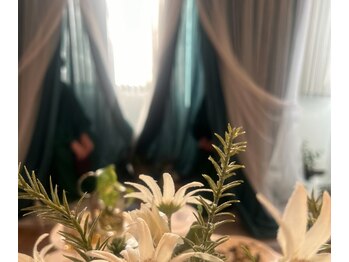 ラルーナ(LA LUNA)