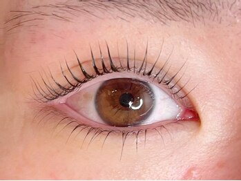 ラシク ゼロ 草加駅前(Lashiku Zero)/上下パリ