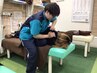 デスクワークで疲れたあなたへ！肩甲骨はがし＆リラクゼーション(40分)