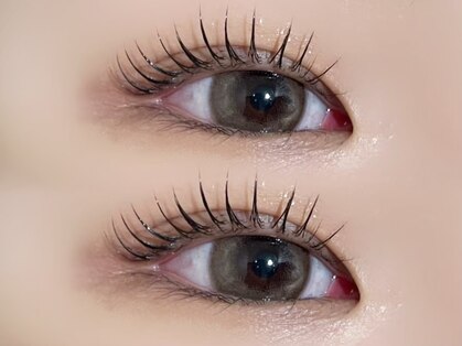 アプシーアイズ(Apsee eyes)の写真